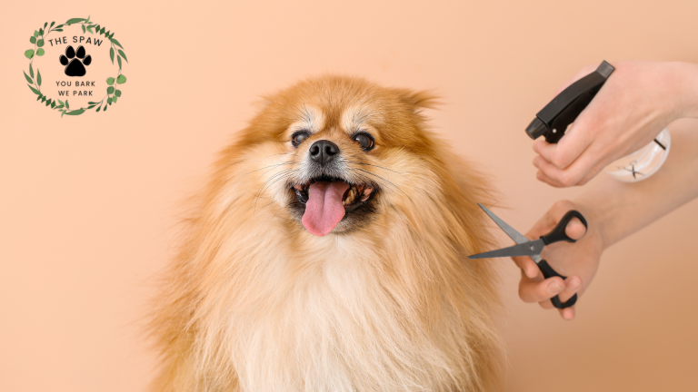 Uncover the surprising ways regular grooming impacts your dog's well-being, from preventing hidden infections to detecting early health concerns.
