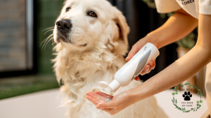 Protect your Colorado pup through seasonal changes with essential grooming tips that adapt to mountain weather and unique altitude challenges.