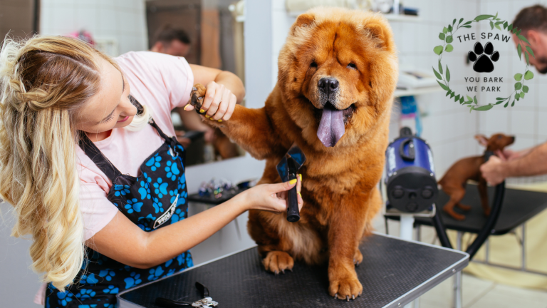 You'll discover vital safety features and specialized equipment requirements when choosing a mobile groomer for your large dog's needs.