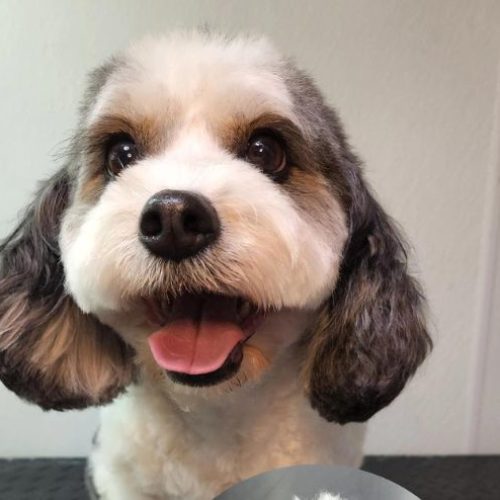 The Spaw CO gallery 2