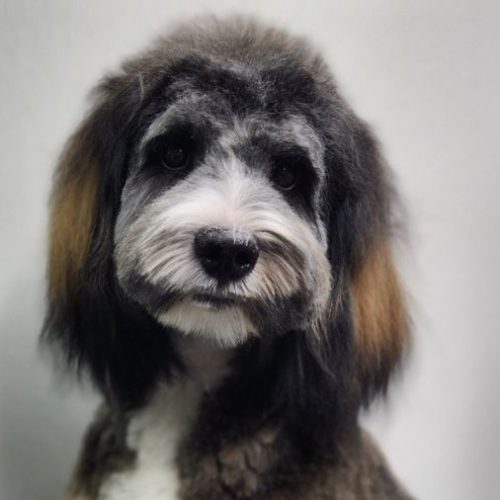 The Spaw CO gallery 8